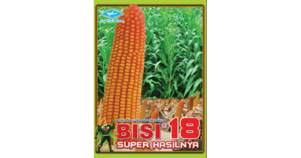 Jual benih jagung hibrida bisi 18